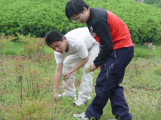 计算机系志愿者义务清理草坪